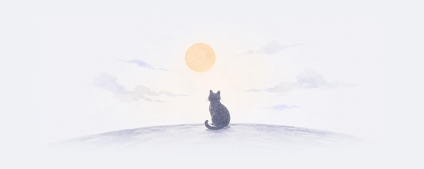 A seated cat looking toward a soft morning sun